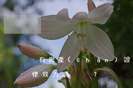 沒有房產(chǎn)證會影響租賃合同法律效力嗎？